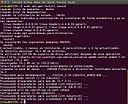 Apt-get install vnstat (on Ubuntu 16).jpg