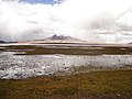 Lago Chungará e o vulcão Sajama aos fundos.