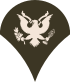Army-USA-OR-04b (Army greens).svg