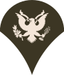 File:Army-USA-OR-04b (Army greens).svg