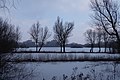Arnhem, de Immerlooplas in de winter vanaf 't Duifje IMG 1752 2018-02-28 10.15.jpg