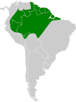 Distribución geográfica del atila canelo.