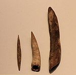Aurignacian Culture bone tools (needle, points and tools for punching holes), Hayonim Cave, 30,000 BP.