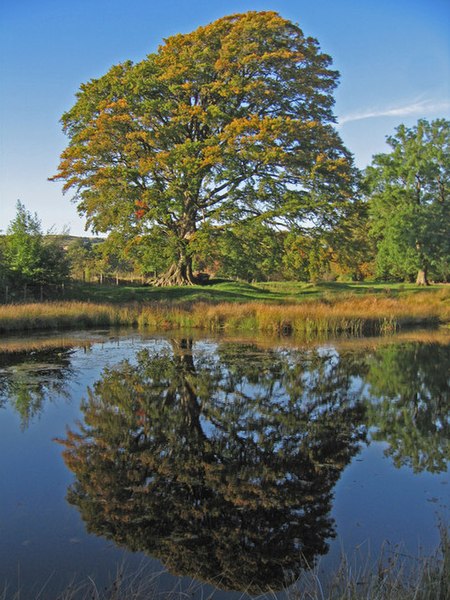 File:Autumn Reflection - geograph.org.uk - 571454.jpg