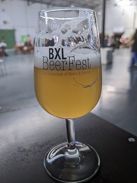 File:BXLBeerFest 2022 - Verre de bière 2.jpg