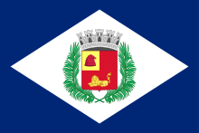 Bandeira Rio Claro (São Paulo).svg