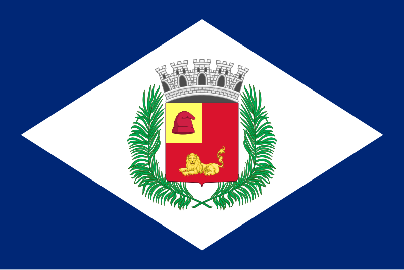 File:Bandeira Rio Claro (São Paulo).svg