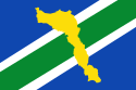 Bandeira de Laranjal do Jari