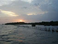 2002 yılında Bang Pu Mangrove