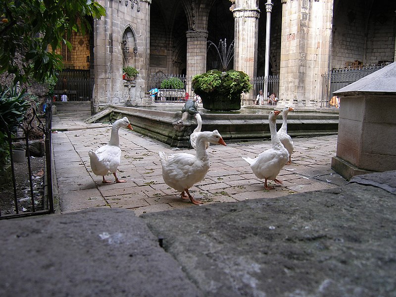 File:Barcelona.Kathedrale.Kreuzgang.jpg