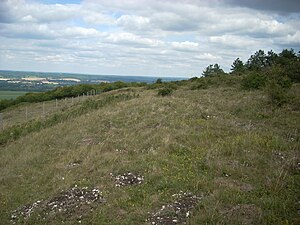 Ditch and rampart of Harting Beacon Beacon Hill fort 1.jpg