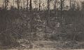 Belleau Wood Hillside, circa 1918 (8935802711).jpg