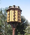 birdhouse at the "Fenn lake"