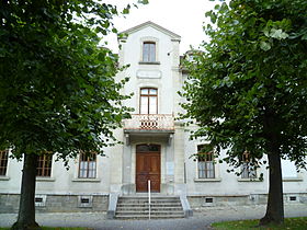 Przykładowy obraz artykułu Cedars Library