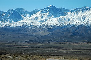 Nagy fenyő (középen) az Owens-völgyben, a háttérben a Sierra Nevada