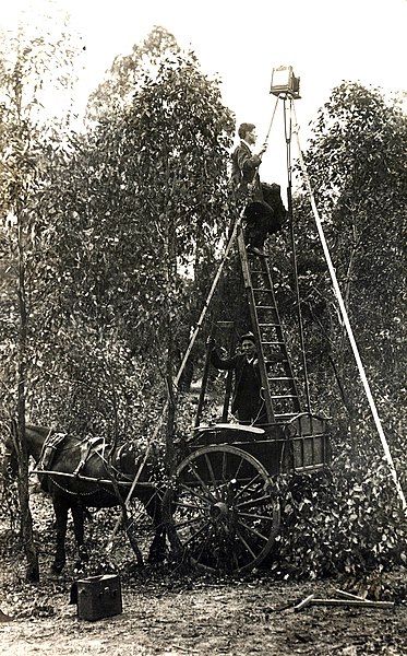 File:Birdwatchers, AH Chisholm, State Library NSW.jpg