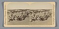 Bivouac of Gen. Hamilton's Mounted Infantry at the Modder after hard fight with the invincible Boers, S. Africa, RP-F-F09173.jpg