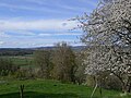 in Richtung Heiligenberg (im Hintergrund verschwommen das Schloss Heiligenberg)