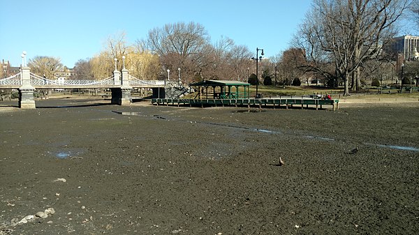 The pond drained for maintenance