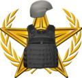The Bulletproof Barnstar is awarded in recognition of real-life risks taken by Wikipedians to create content for the encyclopedia. This usually comes in the form of photography for topics like riots, wars, disasters, etc., taken up-close and often without any of the protections afforded to members of the traditional media. First awarded to User:Takeaway on May 20, 2010.
