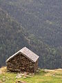 Cabana de pastors a la vall de Baborte