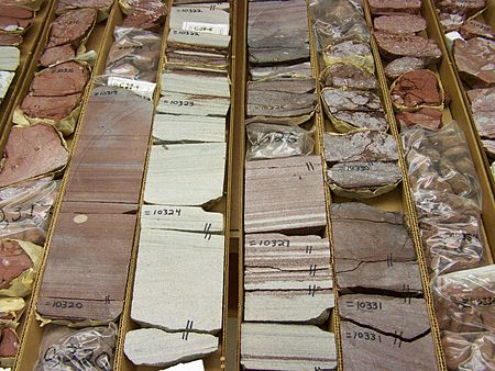 Slabbed section of the Calco #1 Ferch core. Depths are marked on the core in feet. Calco Ferch -1 Core.JPG