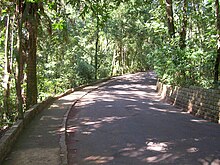 Ficheiro:Caminho_principal_-_Bosque_dos_Jequitibás,_Campinas.JPG