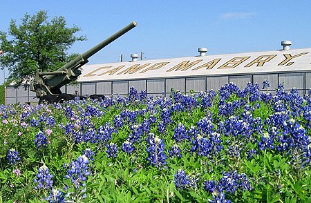 Camp Mabry Bluebonnet Howitzer