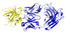 Канакинумаб, связанный с IL-1β.png