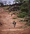 Carrying Water Home, Ethiopia (11561792496).jpg