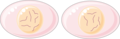 Cell division - Mitosis