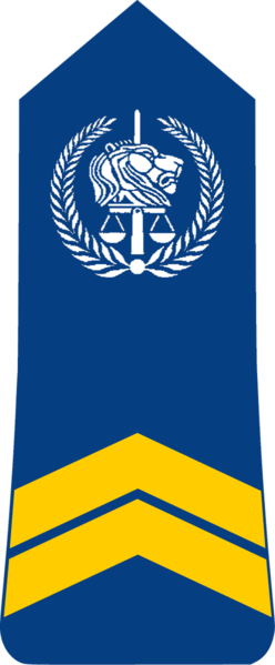 File:Chad-Gendarmerie-OR-6.png