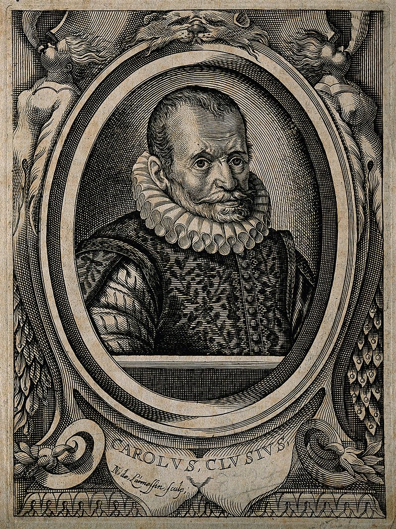 Charles de l'Écluse or Carolus Clusius (1526 – 1609) Wellcome V0003456.jpg