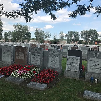 Day 6: Cimetiere Juif in Montreal