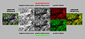 CinemaAColori Analisi sintesi bicromatica rosso verde.jpg