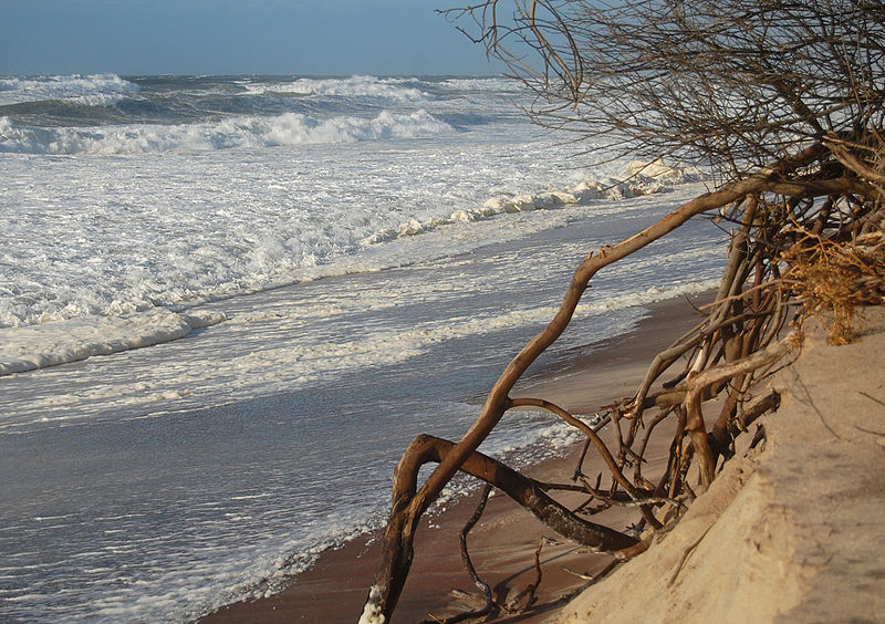 File:Coastal erosion, high tide.jpg