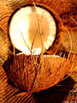Una noce di cocco dalla caratteristica buccia legnosa, aperta a metà, rivela l'interno bianco.