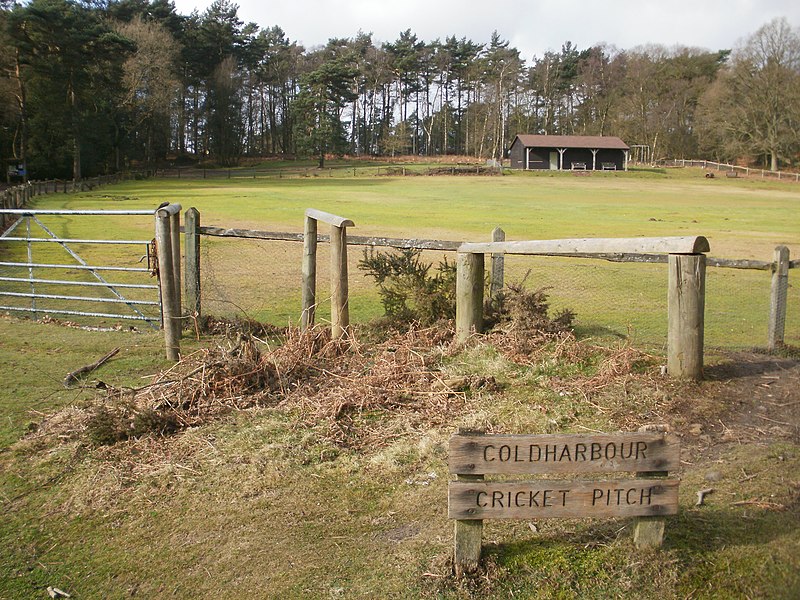 File:Coldharbour Cricket Pitch - geograph.org.uk - 2853750.jpg