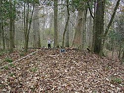 Cook's Lake Cattle Mound.jpg