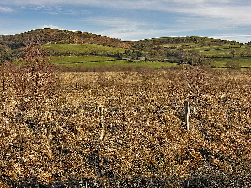 File:Cors Caron east of the railway - geograph.org.uk - 1138379.jpg