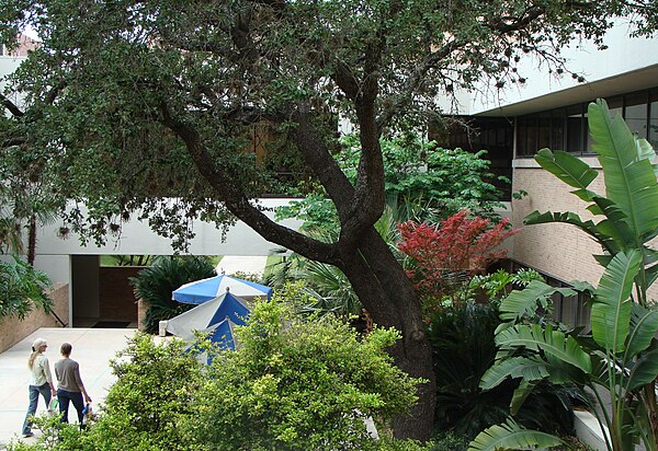 Courtyard UTHSCSA Nima.JPG