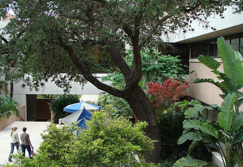 File:Courtyard UTHSCSA Nima.JPG