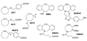 Cylooctanes used in copper-free click chemistry Cyclooctynes.png