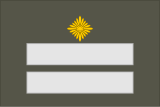 File:DDR-Technician suit-Major.svg