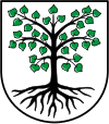 Wappen von Biesingen