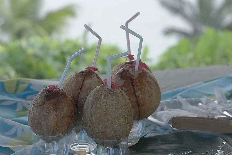 File:DSC01652 Coconuts with straws in Samoa.jpg