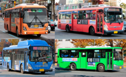 (시계방향으로)직행좌석버스, 급행버스, 지선버스, 간선버스(간선급행버스)