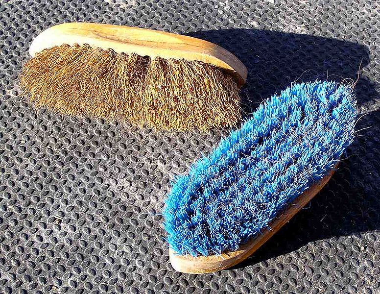 Stiff Bristle Brush 9 Blue