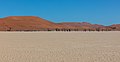 * Nomination Dead Vlei, Sossusvlei, Namibia --Poco a poco 20:56, 17 February 2019 (UTC) * Promotion Good Quality --PtrQs 22:45, 17 February 2019 (UTC)