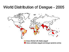 Dengue distr.jpg